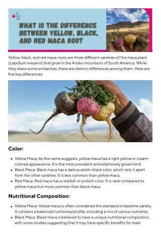 What is the Difference Between Yellow, Black, and Red Maca Root