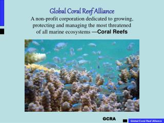 Coral Reefs – Support, Nurture, Protect, Provide