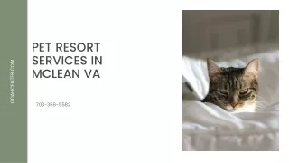 Pet Resort Services in McLean VA
