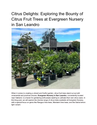 Citrus Delights_ Exploring the Bounty of Citrus Fruit Trees at Evergreen Nursery in San Leandro