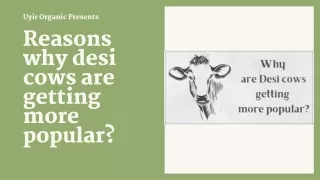 Reasons why desi cows are getting more popular