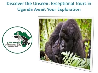 Discover the Unseen: Exceptional Tours in Uganda Await Your Exploration
