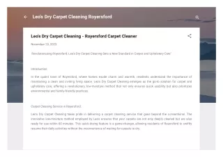 Leo's Dry Carpet Cleaning - Royersford Carpet Cleaner