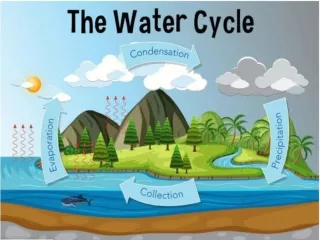 Water Cycle