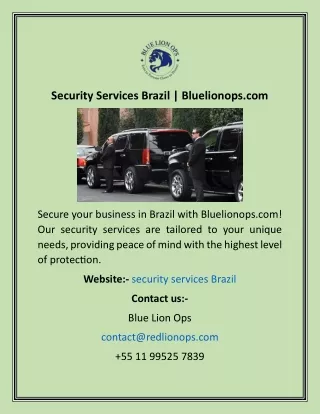 Security Services Brazil  Bluelionops