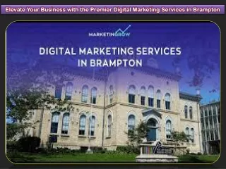 Elevate Your Business with the Premier Digital Marketing Services in Brampton