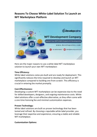 NFT Development