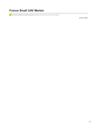 France Small UAV Market