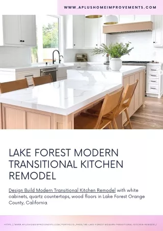 Lake Forest Modern Transitional Kitchen Remodel