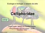 Calliphoridae