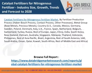 Catalyst Fertilizers for Nitrogenous Fertilizer Market