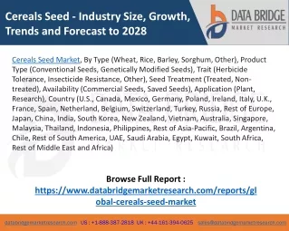 Cereals Seed Market