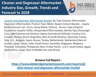 Cleaner and Degreaser AfterMarketMarket