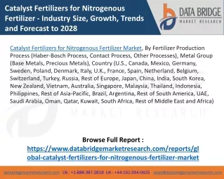 Catalyst Fertilizers for Nitrogenous Fertilizer Market
