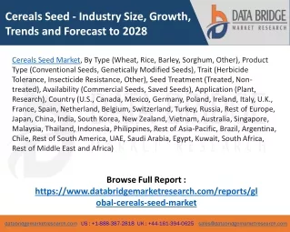 Cereals Seed Market