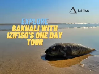 Explore Bakhali with Izifiso's One Day Tour