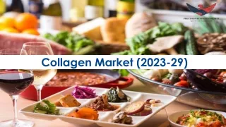 Collagen Market Outlook 2023-2029