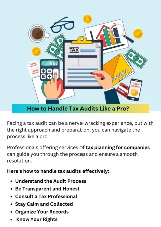 How to Handle Tax Audits Like a Pro?