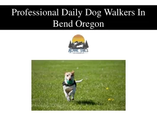 Professional Daily Dog Walkers In Bend Oregon