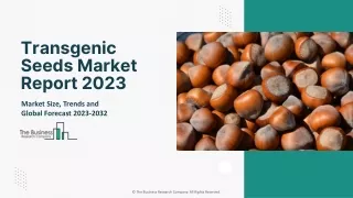 Transgenic Seeds Market Industry Outlook, Opportunities in Market 2032