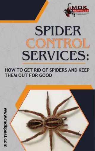 Spider Control Services: How to Get Rid of Spiders and Keep Them Out for Good
