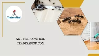 Ant Pest Control Services in UAE - TradersFind