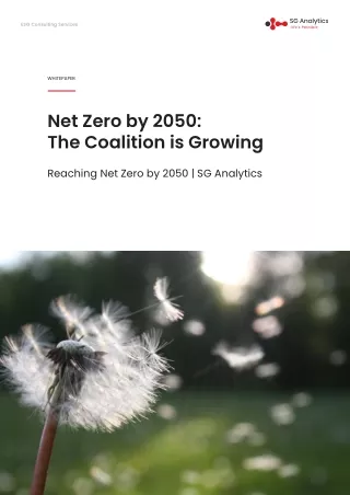 Net Zero by 2050: The Coalition is Growing - SG Analytics
