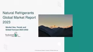 Natural Refrigerants Market Size, Overview And Industry Analysis Report To 2032