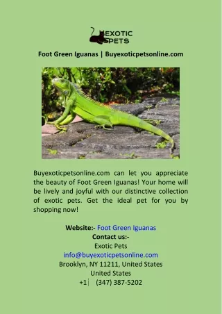 Foot Green Iguanas  Buyexoticpetsonline.com