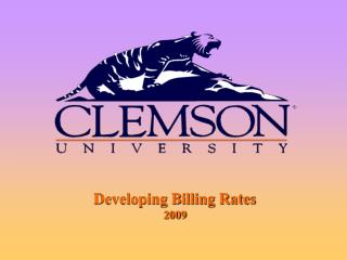 Developing Billing Rates 2009