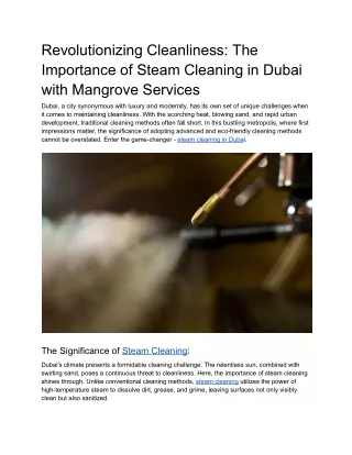 Revolutionizing Cleanliness - The Importance of Steam Cleaning in Dubai with Mangrove Services