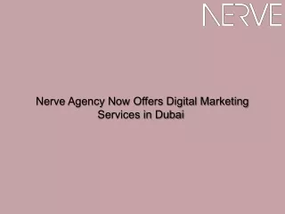 Nerve Agency Now Offers Digital Marketing Services in Dubai
