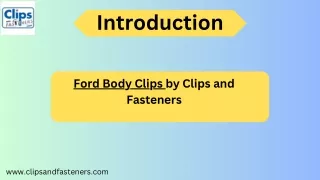 Ford Body Clips