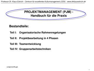 PROJEKTMANAGEMENT (PJM) - Handbuch für die Praxis