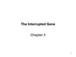 The Interrupted Gene
