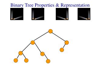 Binary Tree Properties &amp; Representation