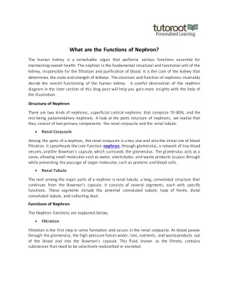 What are the Functions of Nephron?