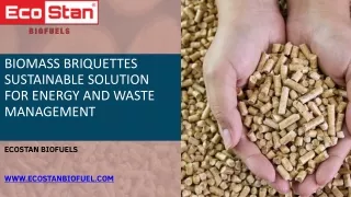 Biomass Briquettes Sustainable Solution for Energy And Waste Management