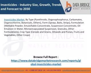 Insecticides Market