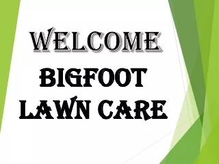 Best Lawn Maintenance Service in Cameron Park