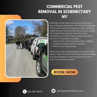 Commercial Pest Removal in Schenectady NY