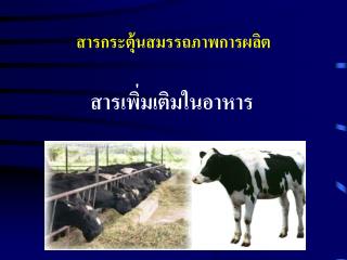 สารกระตุ้นสมรรถภาพการผลิต