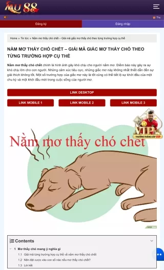 mo_thay_cho_chet