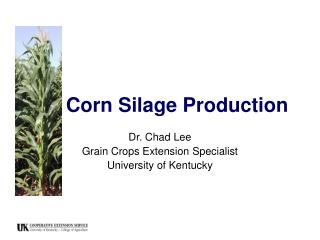 Corn Silage Production