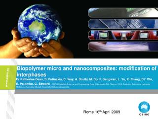 Biopolymer micro and nanocomposites: modification of interphases