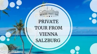 Private Tour from Vienna Salzburg