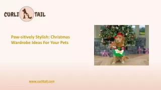 Christmas Wardrobe Ideas For Your Pets