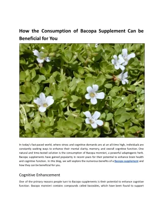 How the Consumption of Bacopa Supplement Can be Beneficial for You