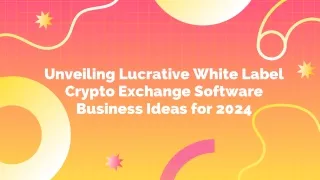 White Label Crypto Exchange Software Business Ideas for 2024