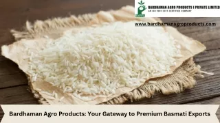 Bardhaman Agro Products Your Gateway to Premium Basmati Exports